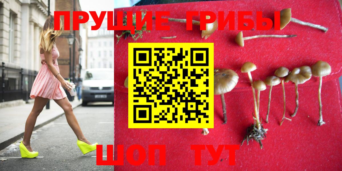 Псилоцибиновые грибы Psilocybe  Псилоцибиновые грибы Psilocybe  Вход с VPN  Анапа 