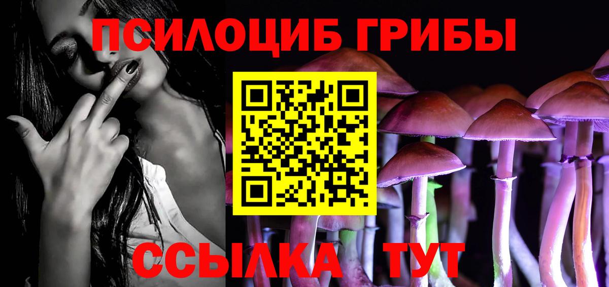 Галлюциногенные грибы Psilocybe Анапа